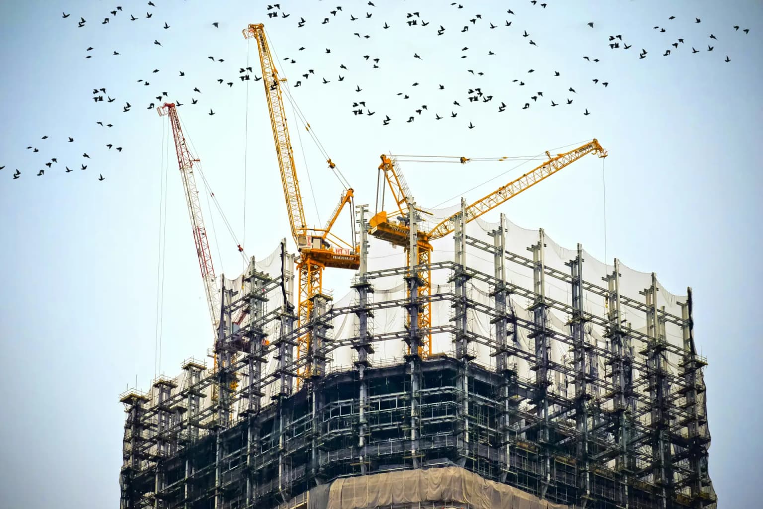 Development Finance
